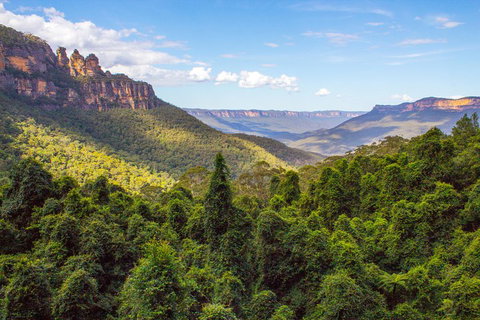 Blue Mountains Nature And Wildlife Day Tour From Sydney - Stayed 1
