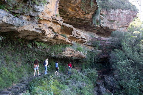 Blue Mountains Nature And Wildlife Day Tour From Sydney - Stayed 2