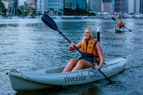 Brisbane Kayak Tour - Stayed 2
