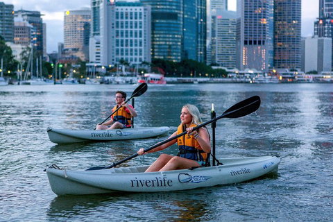 Brisbane Kayak Tour - Stayed 3