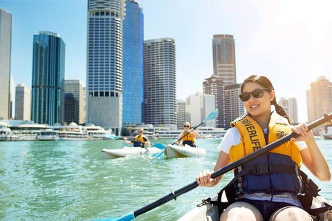 Brisbane Kayak Tour - Stayed 5