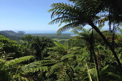 Daintree And Cape Tribulation Full Day Guided Tour - Stayed 2