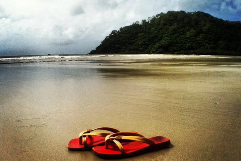 Daintree And Cape Tribulation Full Day Guided Tour - Stayed 4