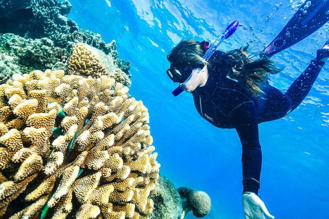 Green Island Day Trip From Cairns - Stayed 1