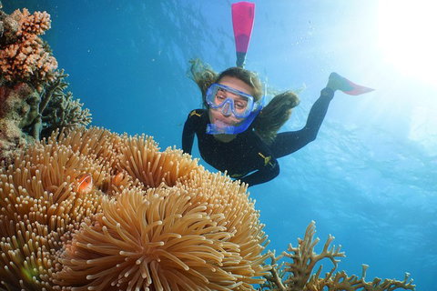 Quicksilver Outer Great Barrier Reef Snorkel Cruise From Palm Cove - Stayed 2