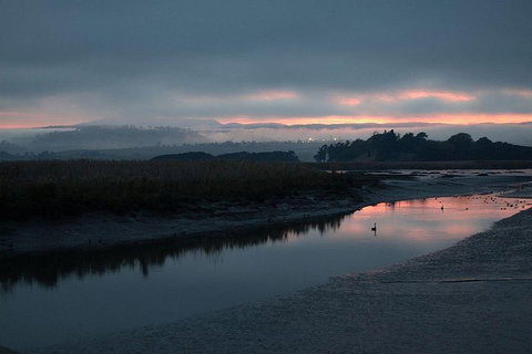 Launceston Private Charter Service - Stayed 1