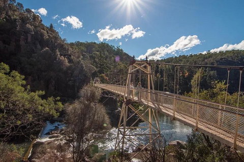 Launceston Private Charter Service - Stayed 5