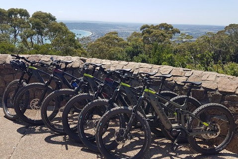 Fully Guided E-Mountain Bike Tour On The Beautiful Mornington Peninsula. - Stayed 4
