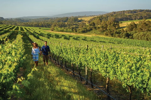 6 Days Perth All-Inclusive Touring Package With Wildflowers ( Seasonal) - Stayed 4