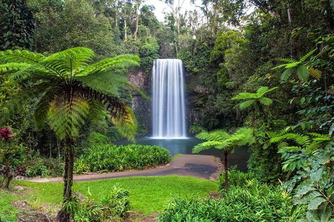 Cairns & Port Douglas All-Inclusive 7 Days Touring Package - Stays Accommodation 2