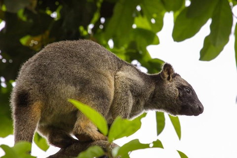 Cairns & Port Douglas All-Inclusive 7 Days Touring Package - Stays Accommodation 3