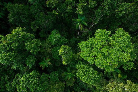 Cairns & Port Douglas All-Inclusive 7 Days Touring Package - Stays Accommodation 4