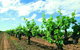 7 Days Perth All-Inclusive Touring Grand Package - thumb 2
