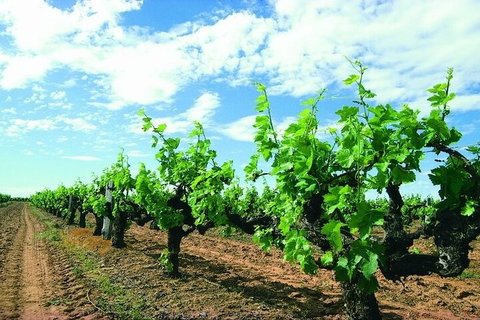 7 Days Perth All-Inclusive Touring Grand Package - Stayed 2