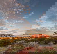 Uluru Kata Tjuta and Kings Canyon Camping Safari from Alice Springs - Stayed