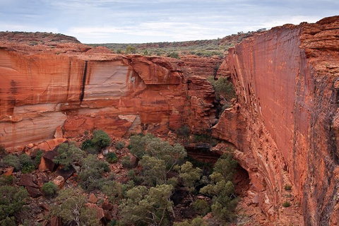 Uluru, Kata Tjuta And Kings Canyon Camping Safari From Ayers Rock - Stayed 1