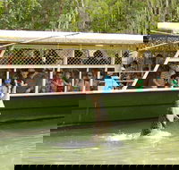 Hartley's Crocodile Adventure Half-Day Tour - Stayed
