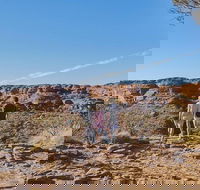 The Amazing Kings Canyon 4-Hours Walking Tour and Hike - Stayed