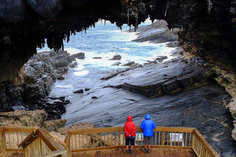 Full-Day Kangaroo Island Safari From Penneshaw - Stayed 1