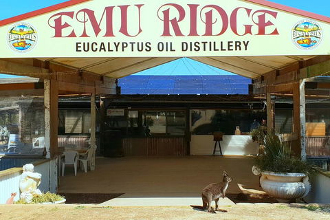 Full-Day Kangaroo Island Safari From Penneshaw - Stayed 2