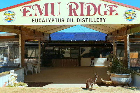 2-Day Kangaroo Island Safari From Adelaide - Stayed 4