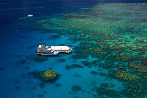 Great Barrier Reef Adventure From Cairns - Stayed 4