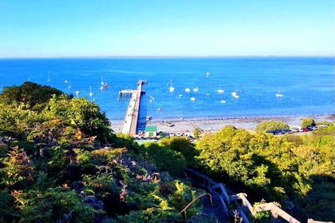 Mornington Peninsula Sightseeing Tour For 2-6 Guests. - Stayed 1