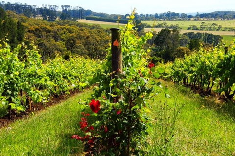 Mornington Peninsula Sightseeing Tour For 2-6 Guests. - Stayed 3