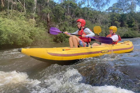 Yarra River Half-Day Rafting Experience - Stayed 1