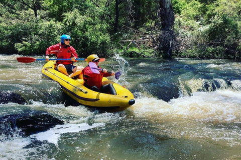 Yarra River Half-Day Rafting Experience - Stayed 4