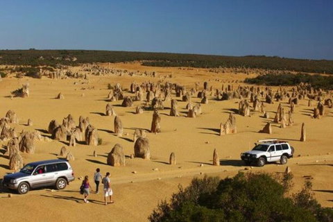 1-Day Pinnacles And Yanchep Tour From Perth Including Fish And Chips Lunch - Stayed 0
