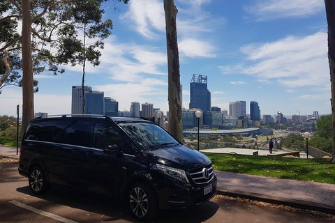 1-Day Pinnacles And Yanchep Tour From Perth Including Fish And Chips Lunch - Stayed 1
