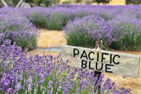Kangaroo Island Food And Wine Trail Tour - Stayed 0