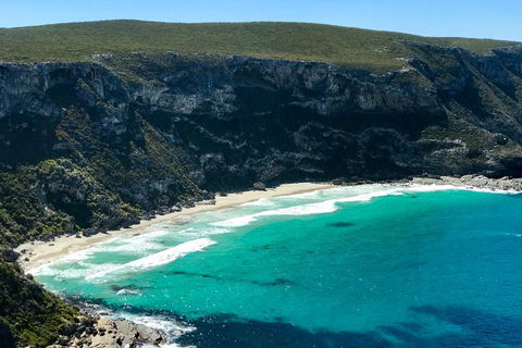 Kangaroo Island Scenic Trail Tour - Stayed 4