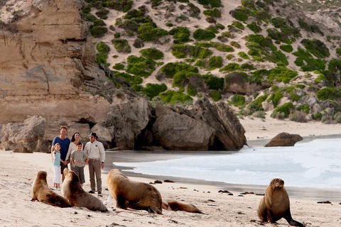 Kangaroo Island Scenic Trail Tour - Stayed 5