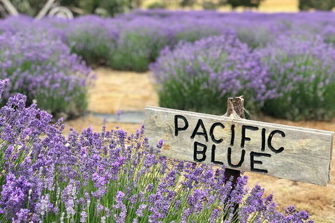 Kangaroo Island Half Day Food And Wine Trail Tour - Stayed 5