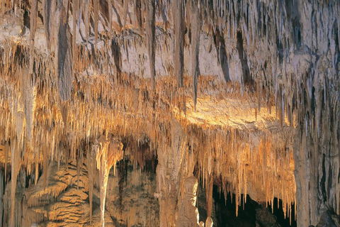 Margaret River, Caves, Wine And Cape Leeuwin Lighthouse Tour From Perth - Stayed 3