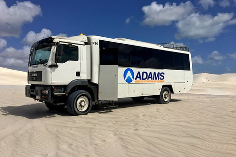 Pinnacles Desert, Koalas And Sandboarding 4WD Day Tour From Perth - Stayed 2