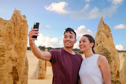 Pinnacles Desert, Koalas And Sandboarding 4WD Day Tour From Perth - Stayed 4