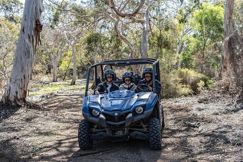 Small-Group Buggy Tour At Little Sahara With Guide - Stayed 0