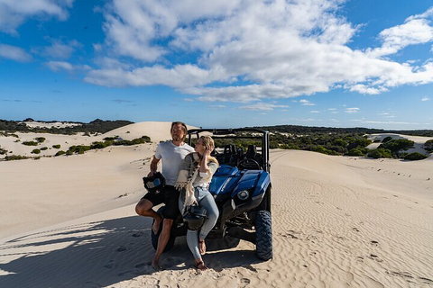 Small-Group Buggy Tour At Little Sahara With Guide - Stayed 2