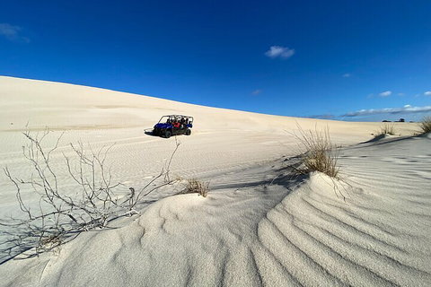 Small-Group Buggy Tour At Little Sahara With Guide - Stayed 3