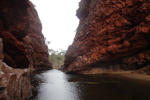 West MacDonnell Ranges Half - Day Tour - Stayed 4