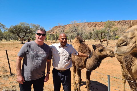 West MacDonnell Ranges Half-Day Small-Group Tour With Camel Ride - Stayed 1