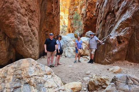 West MacDonnell Ranges Half-Day Small-Group Tour With Camel Ride - Stayed 4