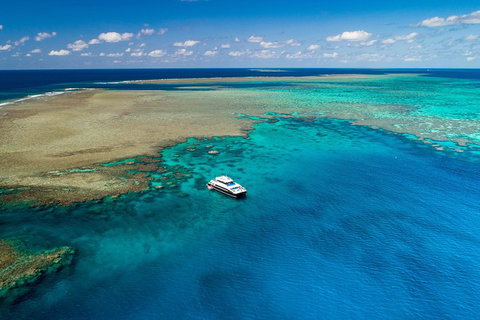 Calypso Outer Great Barrier Reef Cruise From Port Douglas - Stayed 1
