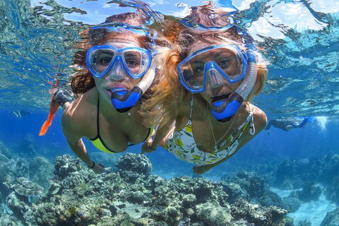 Great Barrier Reef Snorkeling And Diving Cruise From Cairns - Stayed 3