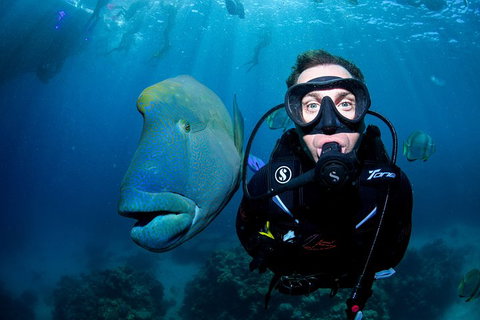 Full Day Reef Cruise Including 10 Minute Heli Scenic Flight: Get High Package - Stayed 1