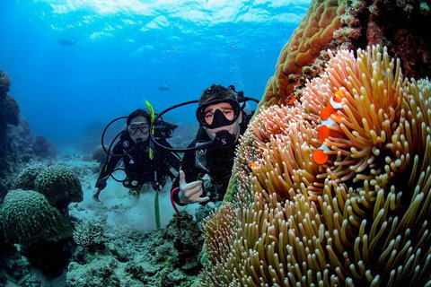 Full Day Reef Cruise Including 10 Minute Heli Scenic Flight: Get High Package - Stayed 5