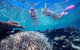 Great Barrier Reef Scenic Helicopter Tour And Cruise From Cairns - thumb 3